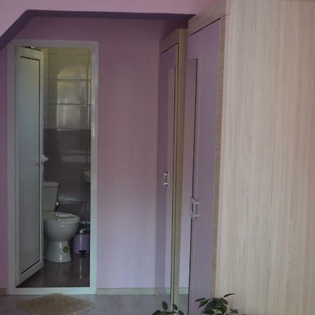 Villa Ribarica Kültér fotó