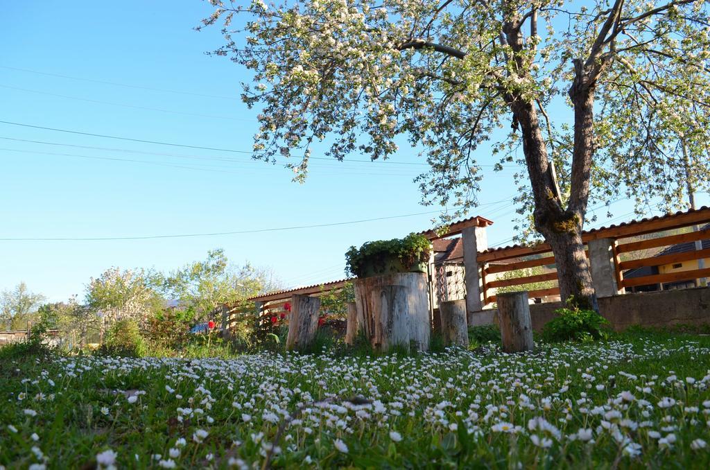 Villa Ribarica Kültér fotó