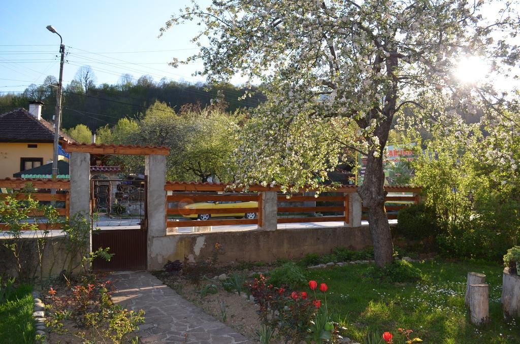 Villa Ribarica Kültér fotó