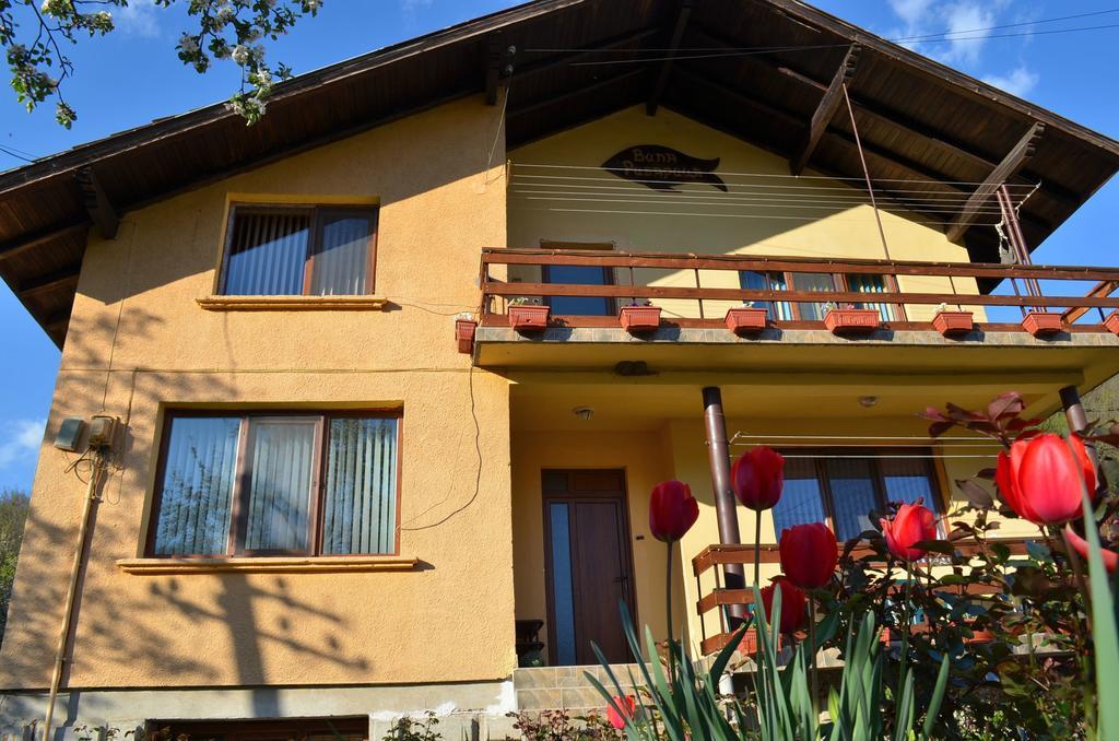Villa Ribarica Kültér fotó