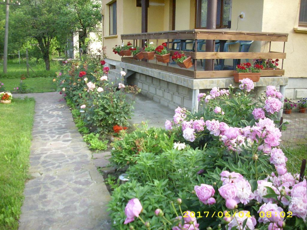Villa Ribarica Kültér fotó