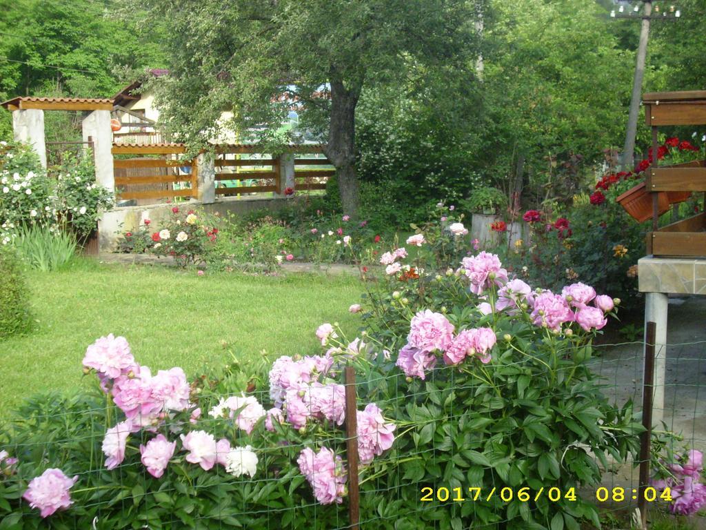Villa Ribarica Kültér fotó