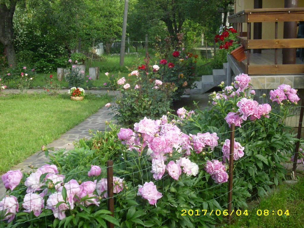 Villa Ribarica Kültér fotó