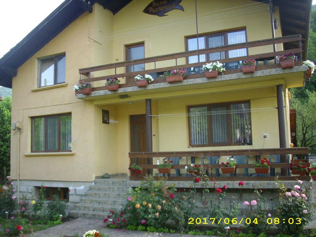 Villa Ribarica Kültér fotó