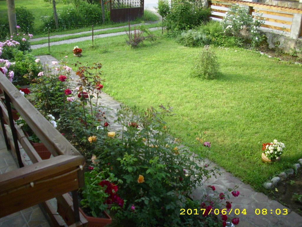 Villa Ribarica Kültér fotó